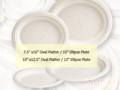sugarcane plates