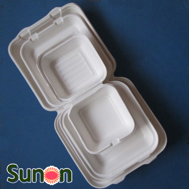 bagasse containers